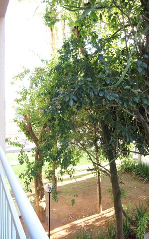 Apartamento à venda com 47m², 2 quartos e 1 vagaSala - Varanda