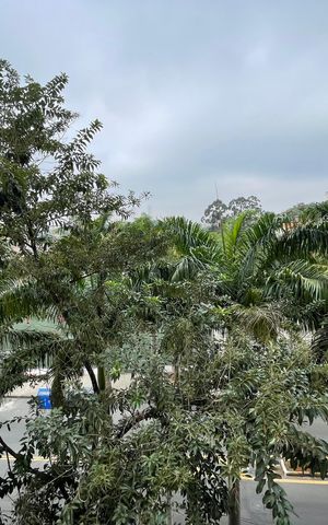 Apartamento à venda com 87m², 2 quartos e 2 vagas Apartamento à venda com 87m², 2 quartos e 2 vagasSala