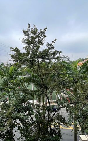Apartamento à venda com 87m², 2 quartos e 2 vagas Apartamento à venda com 87m², 2 quartos e 2 vagasVista da varanda