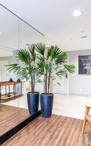 Apartamento à venda com 59m², 2 quartos e 1 vaga Apartamento à venda com 59m², 2 quartos e 1 vagaHall Social