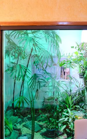 Casa à venda com 216m², 3 quartos e 1 vagaSala de Jantar