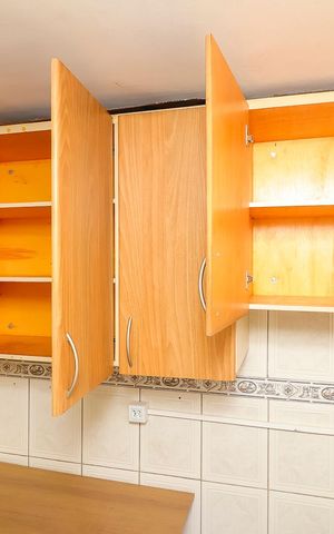 Apartamento para alugar com 53m², 2 quartos e 1 vagaCozinha - Armários