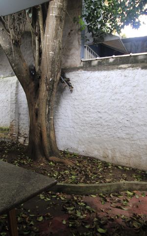 Casa à venda com 243m², 3 quartos e 2 vagasÁrea externa
