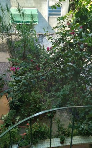 Casa para alugar com 350m², 3 quartos e sem vagaÁrea externa