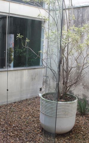 Casa para alugar com 400m², 5 quartos e 3 vagasJardim
