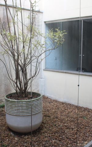 Casa para alugar com 400m², 5 quartos e 3 vagasJardim