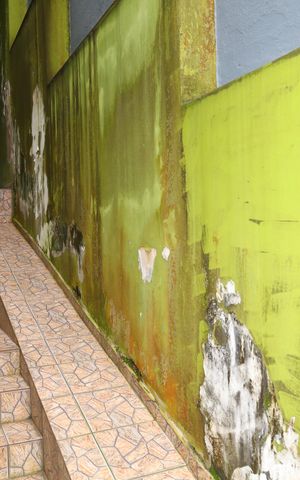 Casa para alugar com 263m², 4 quartos e 8 vagasCorredor 2