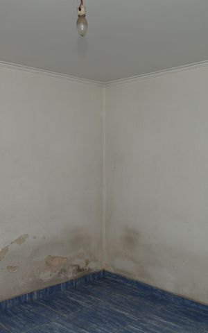 Casa para alugar com 263m², 4 quartos e 8 vagasÁrea de armazenamento