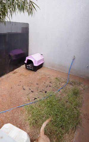 Casa para alugar com 120m², 3 quartos e 2 vagas