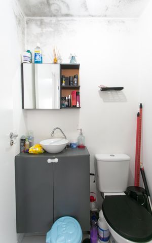 Apartamento para alugar com 32m², 2 quartos e sem vaga Apartamento para alugar com 32m², 2 quartos e sem vagaBanheiro