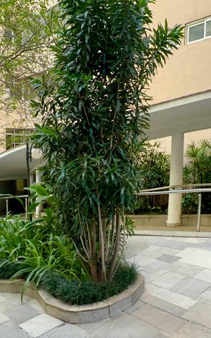 Apartamento à venda com 273m², 3 quartos e 2 vagas Apartamento à venda com 273m², 3 quartos e 2 vagasÁrea comum