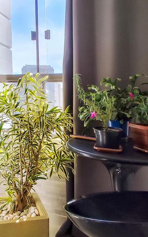 Apartamento à venda com 55m², 2 quartos e 2 vagasVaranda da Sala