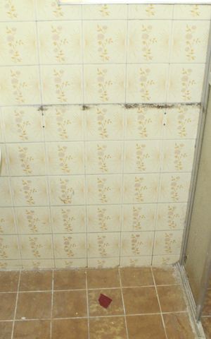 Studio para alugar com 20m², 0 quarto e sem vagaBanheiro