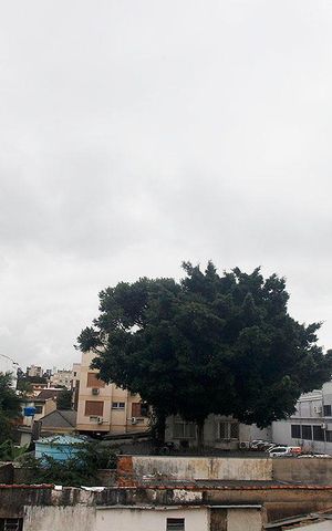 Apartamento à venda com 87m², 2 quartos e 1 vagaQuarto 2 Vista