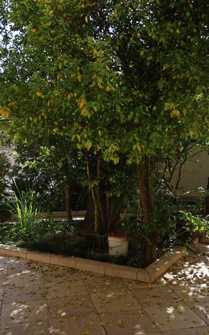 Casa à venda com 600m², 5 quartos e 7 vagasÁrea comum