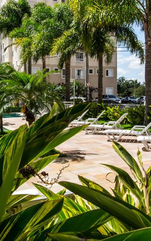 Apartamento para alugar com 60m², 2 quartos e 1 vagaPiscina