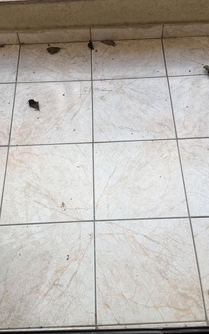 Casa para alugar com 270m², 5 quartos e 5 vagasVaranda da Suíte 1