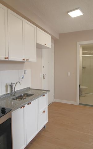 Apartamento para alugar com 33m², 2 quartos e sem vagaCozinha