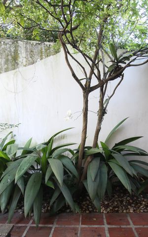 Casa à venda com 264m², 3 quartos e 2 vagasÁrea externa