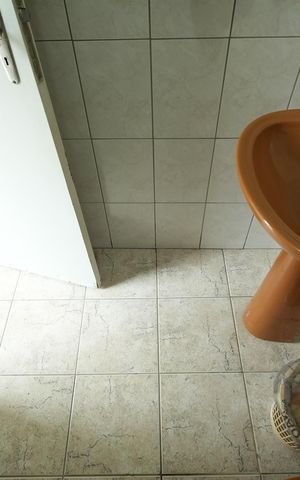 Casa para alugar com 300m², 5 quartos e 4 vagasBanheiro Social