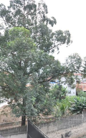Casa à venda com 250m², 2 quartos e 2 vagasVista do Terraço