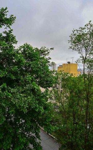 Apartamento à venda com 50m², 2 quartos e 1 vagaVista do Quarto 2
