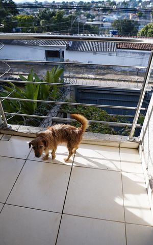 Casa à venda com 134m², 3 quartos e 2 vagas