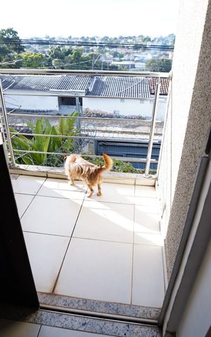 Casa à venda com 134m², 3 quartos e 2 vagas