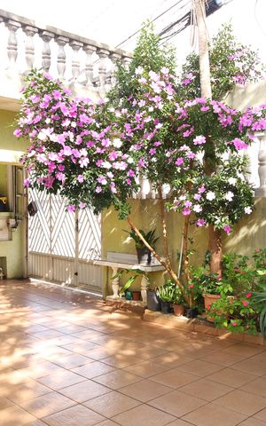 Casa à venda com 200m², 4 quartos e 3 vagasVaranda