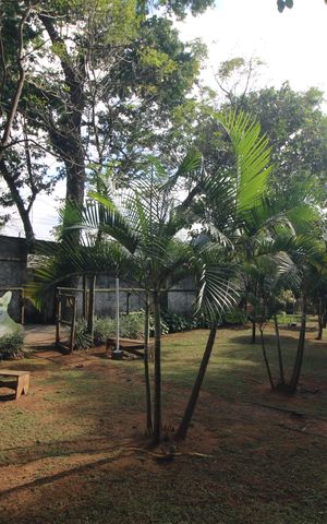 Casa de condomínio à venda com 90m², 3 quartos e 2 vagasÁrea para pets