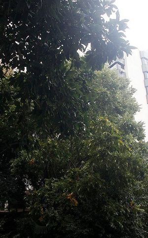 Apartamento à venda com 32m², 1 quarto e sem vagaSala Vista