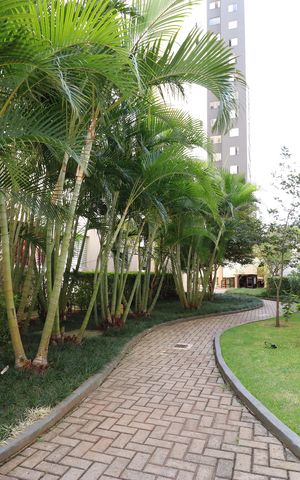 Apartamento à venda com 45m², 2 quartos e sem vagaÁrea comum