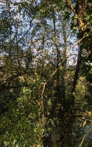 Casa de condomínio à venda com 430m², 6 quartos e 3 vagas Casa de condomínio à venda com 430m², 6 quartos e 3 vagasÁrea comum