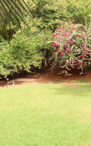 Casa de condomínio à venda com 300m², 3 quartos e 4 vagasArea verde