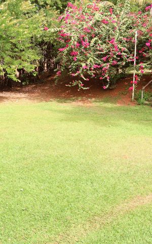 Casa de condomínio à venda com 300m², 3 quartos e 4 vagasArea verde