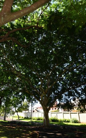 Casa de condomínio à venda com 280m², 4 quartos e 4 vagasÁrea comum