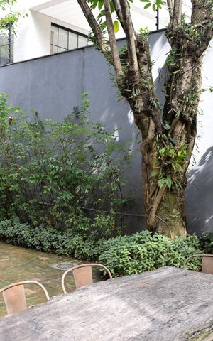 Casa à venda com 312m², 4 quartos e 3 vagasQuintal
