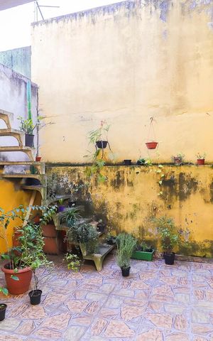 Casa à venda com 148m², 3 quartos e 2 vagasÁrea de Serviço / Quintal