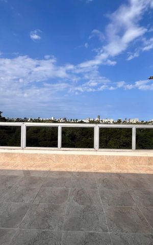 Apartamento à venda com 337m², 3 quartos e 1 vaga