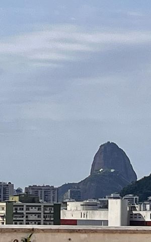 Apartamento à venda com 337m², 3 quartos e 1 vaga