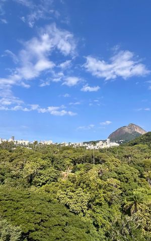 Apartamento à venda com 337m², 3 quartos e 1 vaga