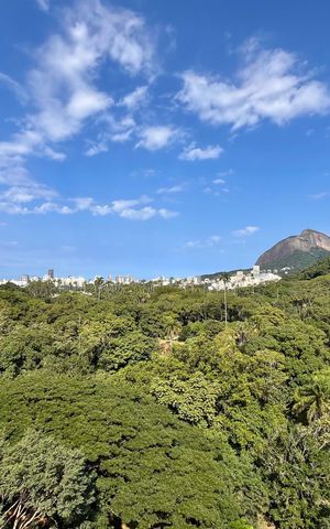 Apartamento à venda com 337m², 3 quartos e 1 vaga
