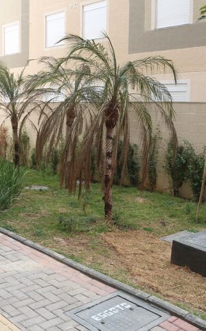 Apartamento à venda com 38m², 2 quartos e 1 vagaÁrea comum