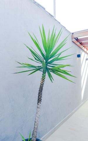 Casa de condomínio para alugar com 127m², 3 quartos e 3 vagasÁrea de Serviço 