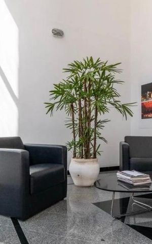 Apartamento à venda com 69m², 1 quarto e 1 vaga