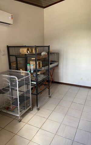 Casa para alugar com 390m², 5 quartos e 3 vagas Casa para alugar com 390m², 5 quartos e 3 vagasQuarto