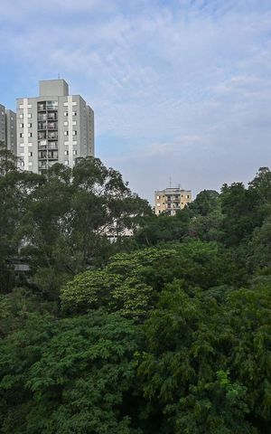 Apartamento à venda com 117m², 3 quartos e 1 vagaVista do Quarto 2