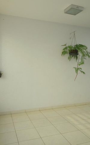 Casa para alugar com 249m², 4 quartos e 4 vagasGaragem 