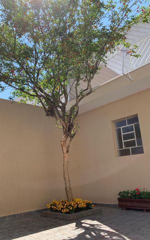 Casa para alugar com 408m², 4 quartos e 4 vagasÁrea externa