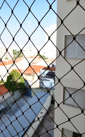 Apartamento para alugar com 72m², 3 quartos e 1 vagaVista do Quarto 3